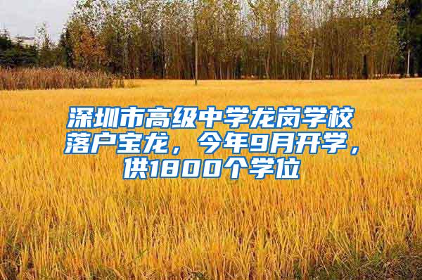 深圳市高级中学龙岗学校落户宝龙，今年9月开学，供1800个学位