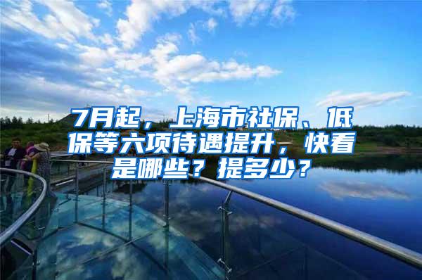 7月起，上海市社保、低保等六项待遇提升，快看是哪些？提多少？