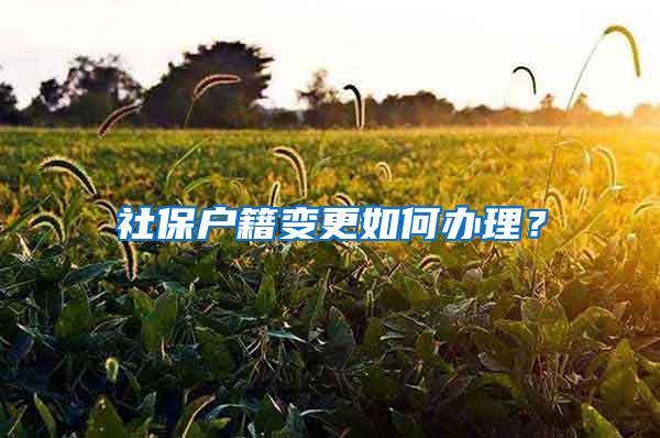 社保户籍变更如何办理？