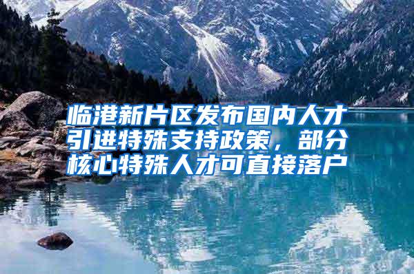 临港新片区发布国内人才引进特殊支持政策，部分核心特殊人才可直接落户