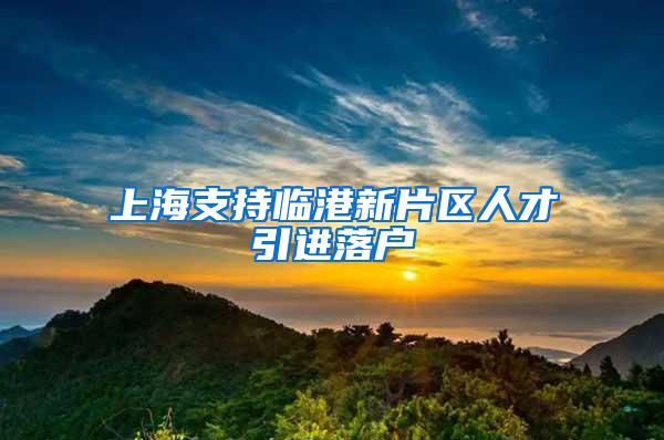 上海支持临港新片区人才引进落户