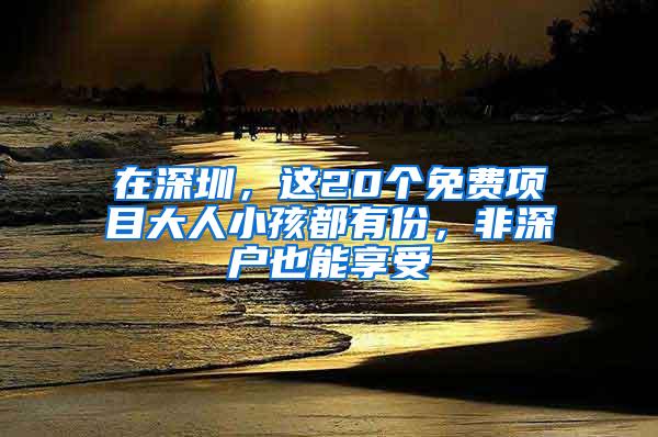 在深圳，这20个免费项目大人小孩都有份，非深户也能享受