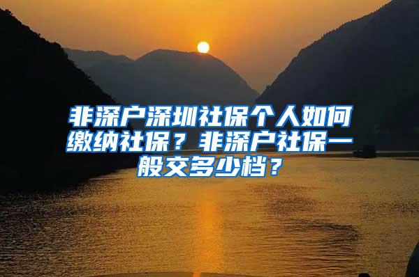 非深户深圳社保个人如何缴纳社保？非深户社保一般交多少档？