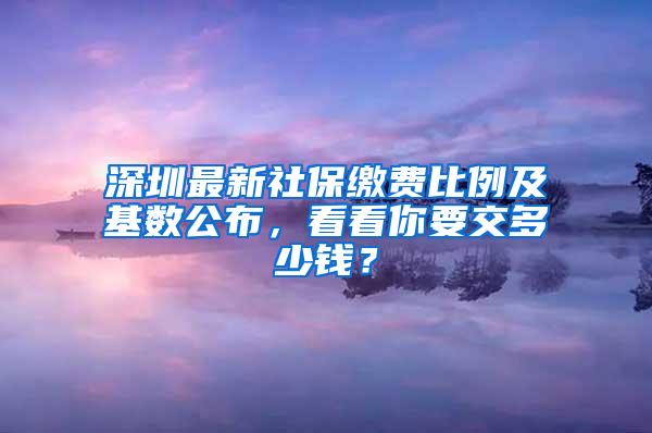 深圳最新社保缴费比例及基数公布，看看你要交多少钱？