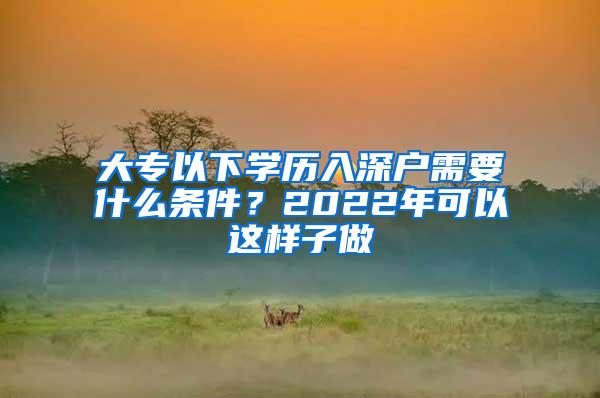 大专以下学历入深户需要什么条件？2022年可以这样子做