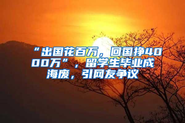 “出国花百万，回国挣4000万”，留学生毕业成海废，引网友争议