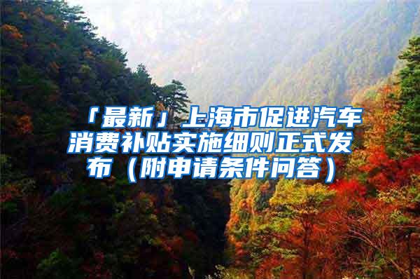 「最新」上海市促进汽车消费补贴实施细则正式发布（附申请条件问答）