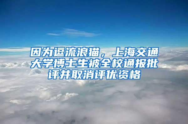 因为逗流浪猫，上海交通大学博士生被全校通报批评并取消评优资格