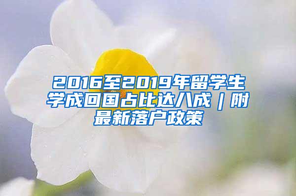 2016至2019年留学生学成回国占比达八成︱附最新落户政策