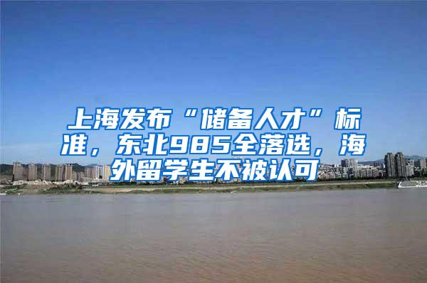 上海发布“储备人才”标准，东北985全落选，海外留学生不被认可