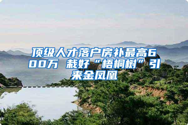 顶级人才落户房补最高600万 栽好“梧桐树”引来金凤凰