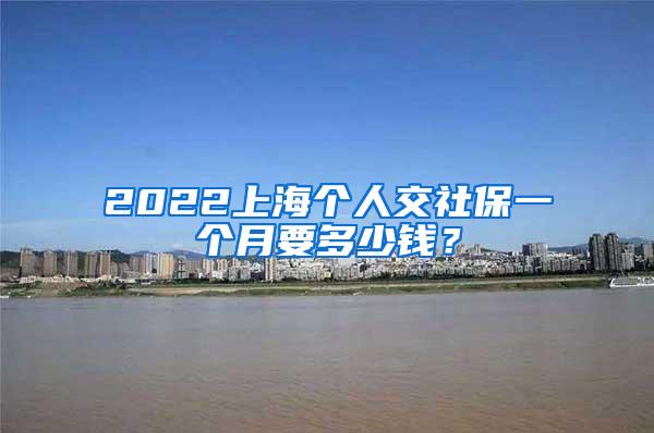 2022上海个人交社保一个月要多少钱？