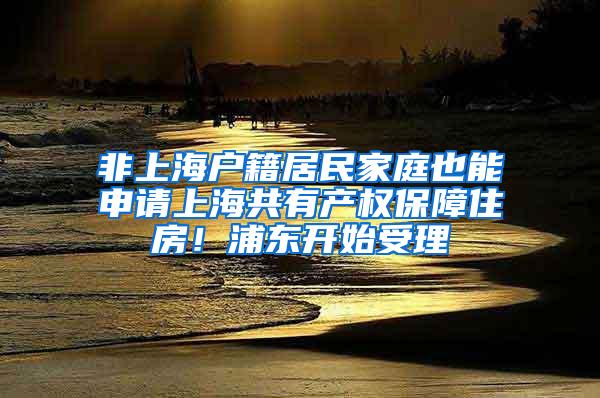 非上海户籍居民家庭也能申请上海共有产权保障住房！浦东开始受理