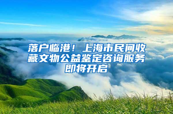 落户临港！上海市民间收藏文物公益鉴定咨询服务即将开启