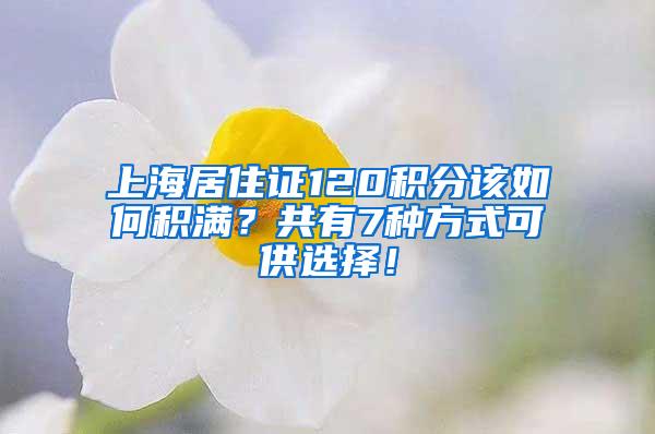 上海居住证120积分该如何积满？共有7种方式可供选择！