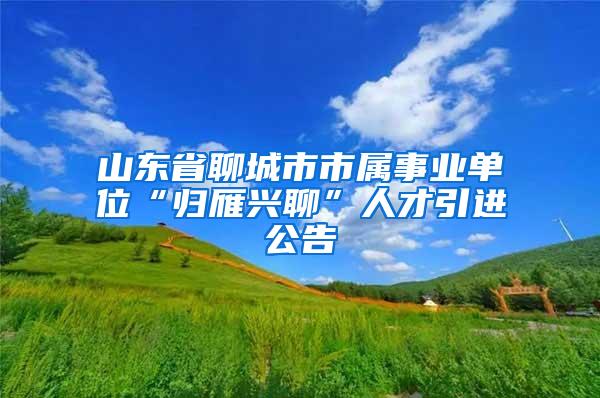 山东省聊城市市属事业单位“归雁兴聊”人才引进公告