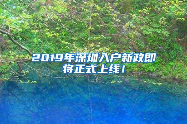 2019年深圳入户新政即将正式上线！