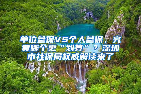 单位参保VS个人参保，究竟哪个更“划算”？深圳市社保局权威解读来了