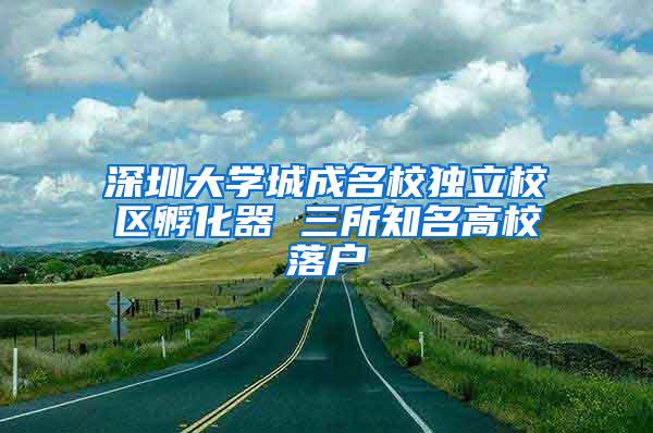 深圳大学城成名校独立校区孵化器 三所知名高校落户