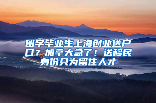 留学毕业生上海创业送户口？加拿大急了！送移民身份只为留住人才