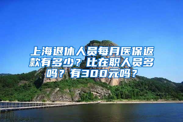 上海退休人员每月医保返款有多少？比在职人员多吗？有300元吗？