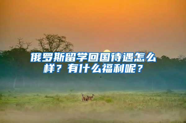 俄罗斯留学回国待遇怎么样？有什么福利呢？