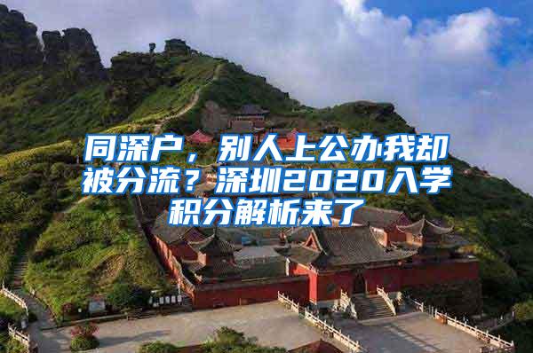 同深户，别人上公办我却被分流？深圳2020入学积分解析来了