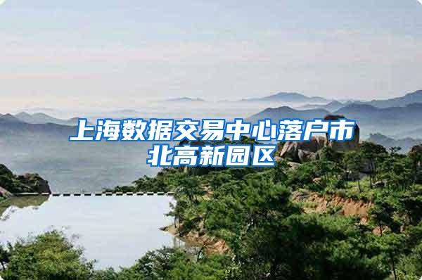 上海数据交易中心落户市北高新园区