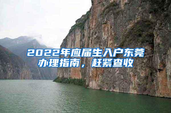 2022年应届生入户东莞办理指南，赶紧查收