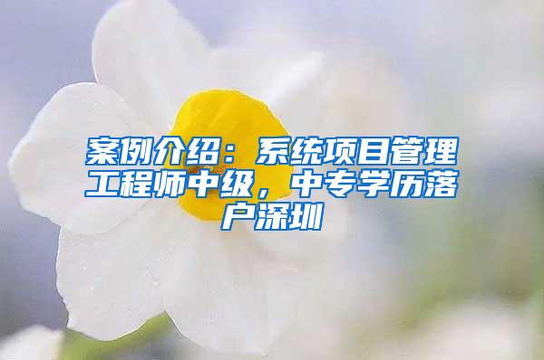 案例介绍：系统项目管理工程师中级，中专学历落户深圳