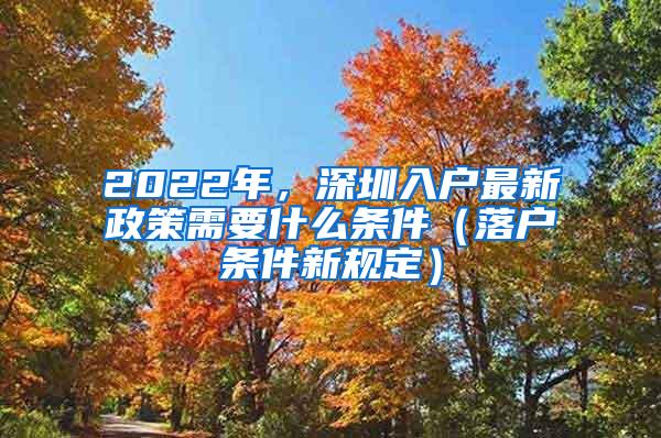 2022年，深圳入户最新政策需要什么条件（落户条件新规定）