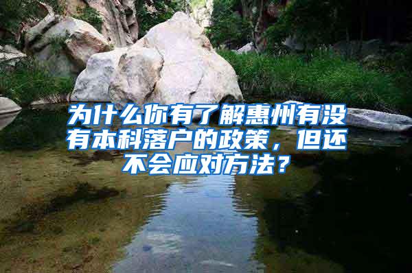 为什么你有了解惠州有没有本科落户的政策，但还不会应对方法？