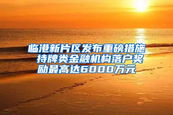 临港新片区发布重磅措施 持牌类金融机构落户奖励最高达6000万元