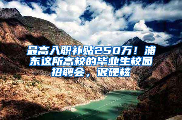 最高入职补贴250万！浦东这所高校的毕业生校园招聘会，很硬核