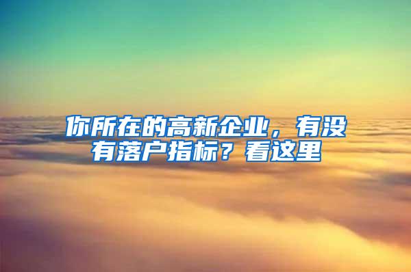 你所在的高新企业，有没有落户指标？看这里