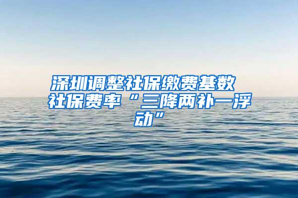 深圳调整社保缴费基数 社保费率“三降两补一浮动”