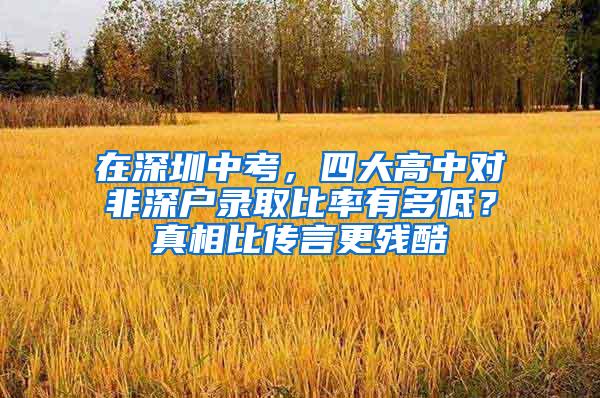 在深圳中考，四大高中对非深户录取比率有多低？真相比传言更残酷