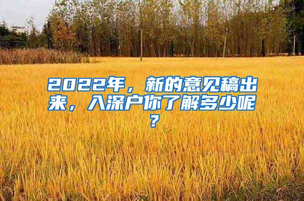 2022年，新的意见稿出来，入深户你了解多少呢？