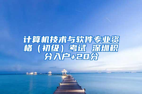 计算机技术与软件专业资格（初级）考试 深圳积分入户+20分