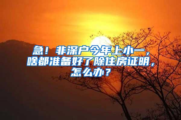 急！非深户今年上小一，啥都准备好了除住房证明，怎么办？