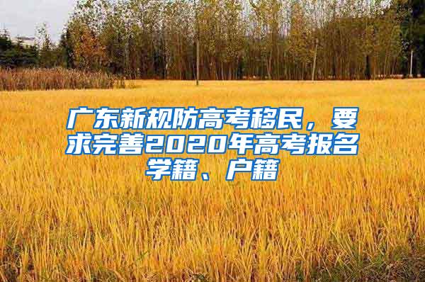 广东新规防高考移民，要求完善2020年高考报名学籍、户籍