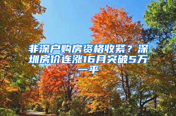 非深户购房资格收紧？深圳房价连涨16月突破5万一平