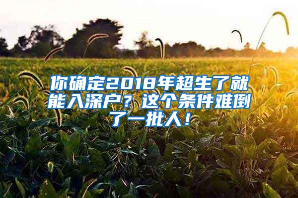 你确定2018年超生了就能入深户？这个条件难倒了一批人！