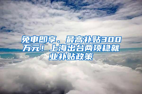 免申即享、最高补贴300万元！上海出台两项稳就业补贴政策