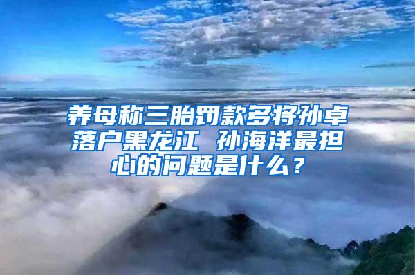 养母称三胎罚款多将孙卓落户黑龙江 孙海洋最担心的问题是什么？