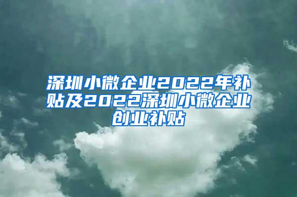 深圳小微企业2022年补贴及2022深圳小微企业创业补贴