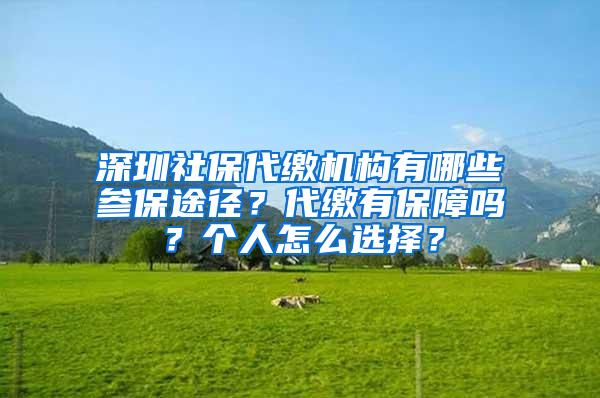 深圳社保代缴机构有哪些参保途径？代缴有保障吗？个人怎么选择？