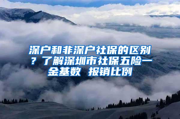 深户和非深户社保的区别？了解深圳市社保五险一金基数 报销比例