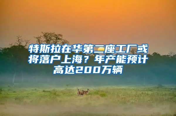 特斯拉在华第二座工厂或将落户上海？年产能预计高达200万辆