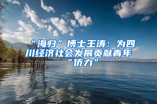 “海归”博士王涛：为四川经济社会发展贡献青年“侨力”